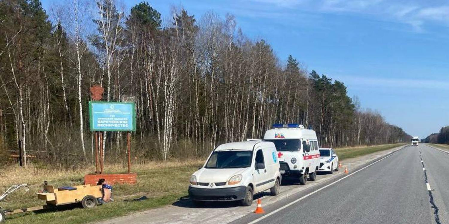 В Карачевском районе Брянщины в ДТП попал шофёр мотоблока